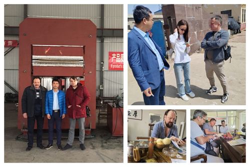 Khách hàng châu Âu mua cao su đúc vulcanizing máy